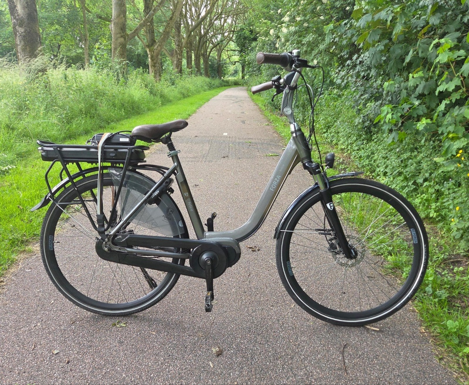 Elektrische Damesfiets Forza Felice, 51 tot 55 cm, Ophalen, Gebruikt, Overige merken