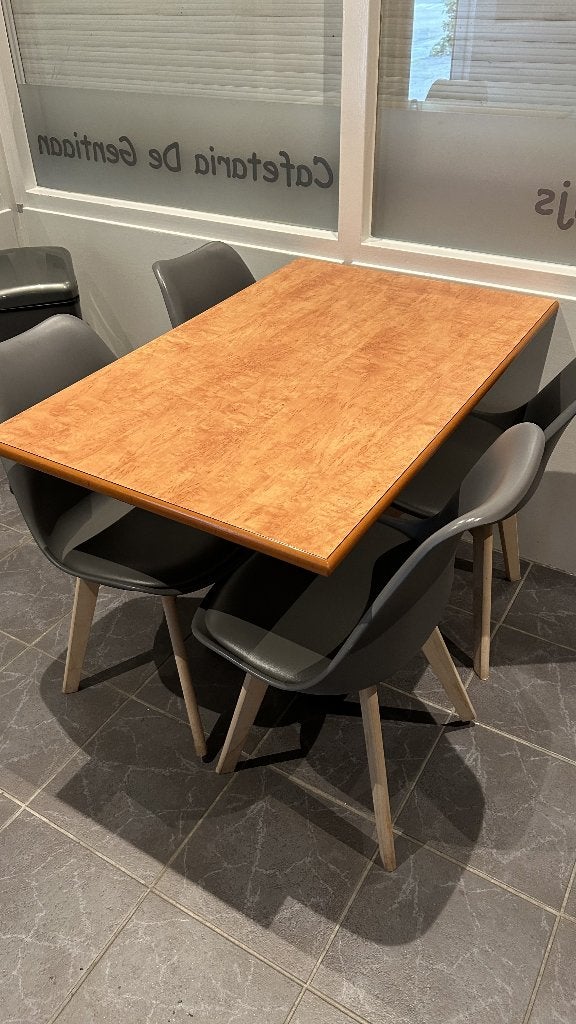 Stoelen + tafels, Zakelijke goederen, Horeca | Meubilair en Inrichting, Ophalen, Gebruikt, Meubilair