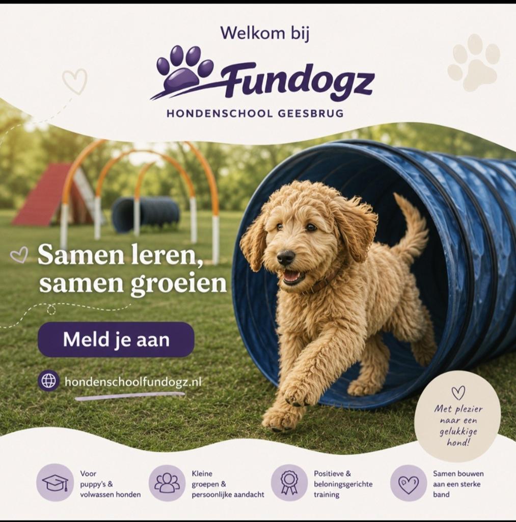 Fundogz Hondenschool Geesbrug  Samen leren, samen groeien, Diensten en Vakmensen, Dieren | Honden | Verzorging, Oppas en Les