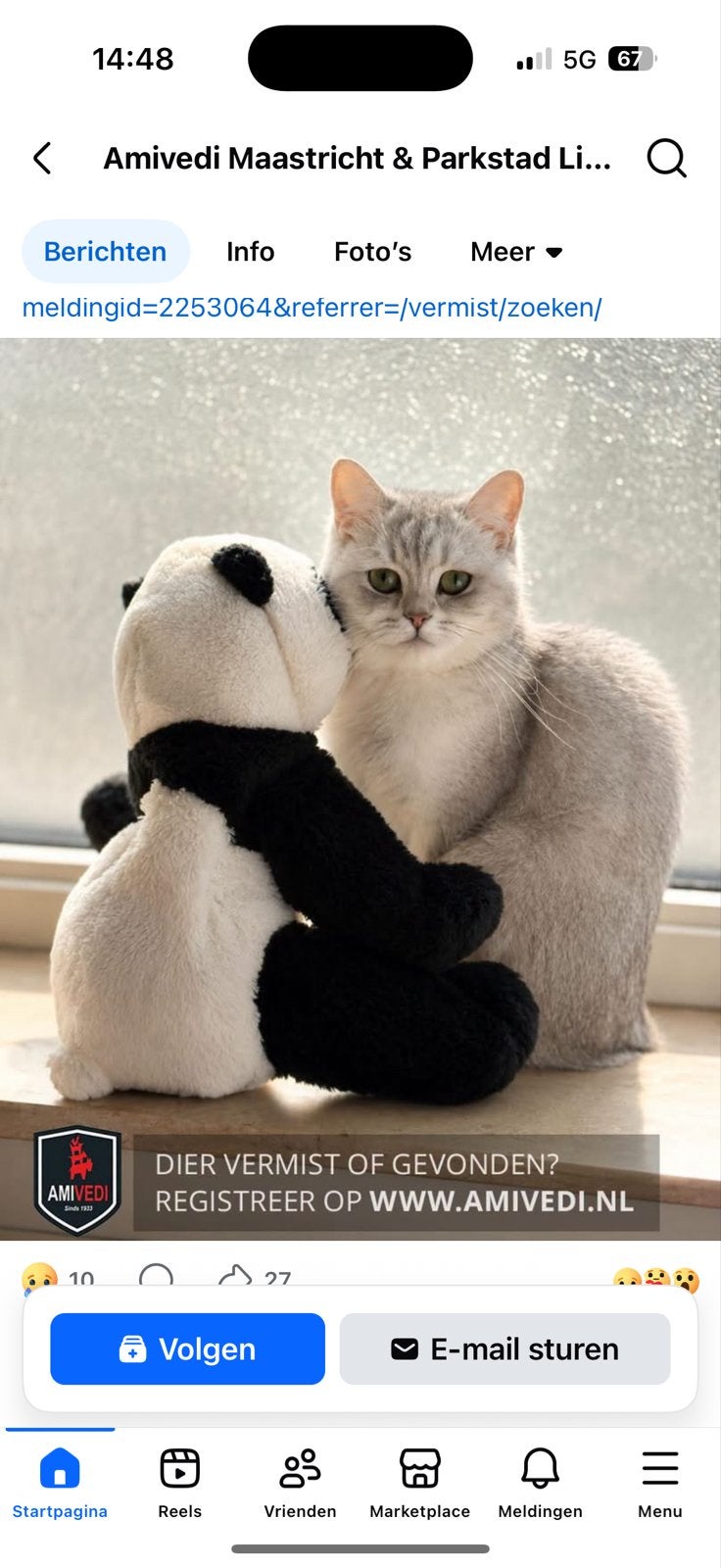 Vermist, Dieren en Toebehoren, Meerdere dieren