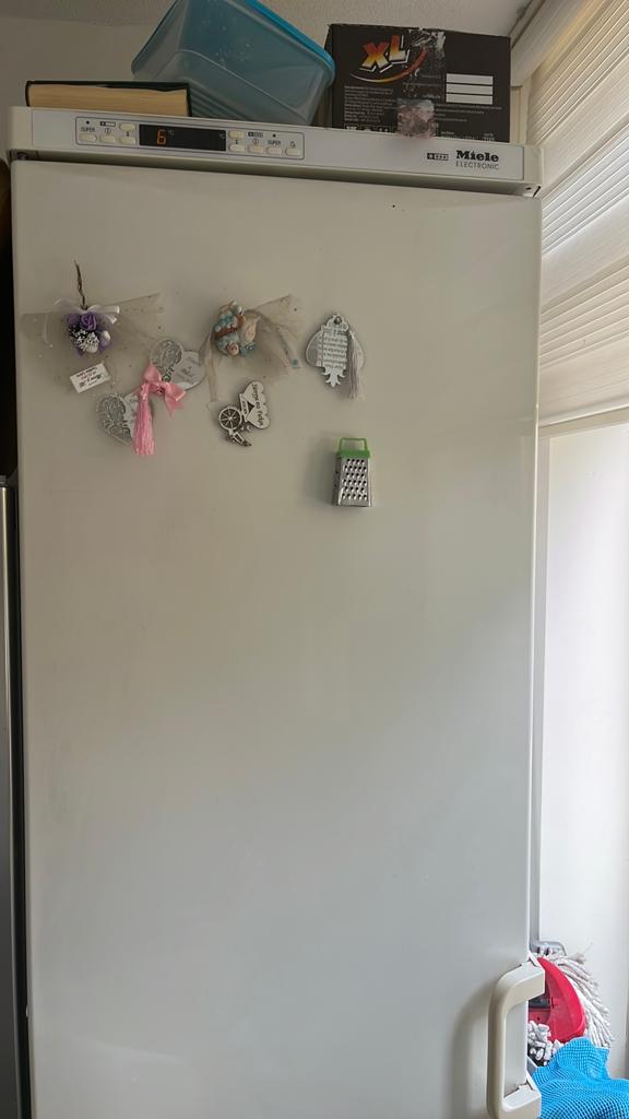 Miele friezer, Ophalen, Minder dan 60 cm, 160 cm of meer