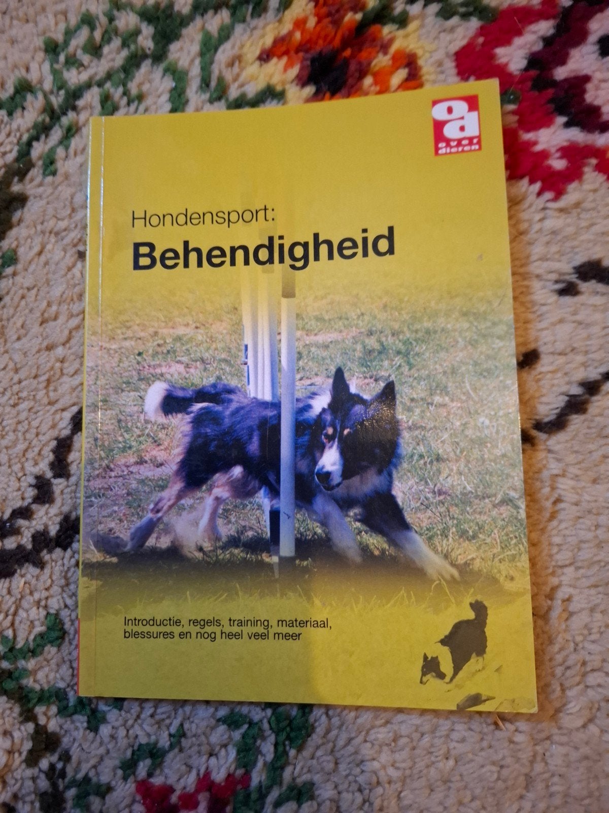 Hondensport: Behendigheid - Introductie & Training, Ophalen of Verzenden, Gelezen, Honden