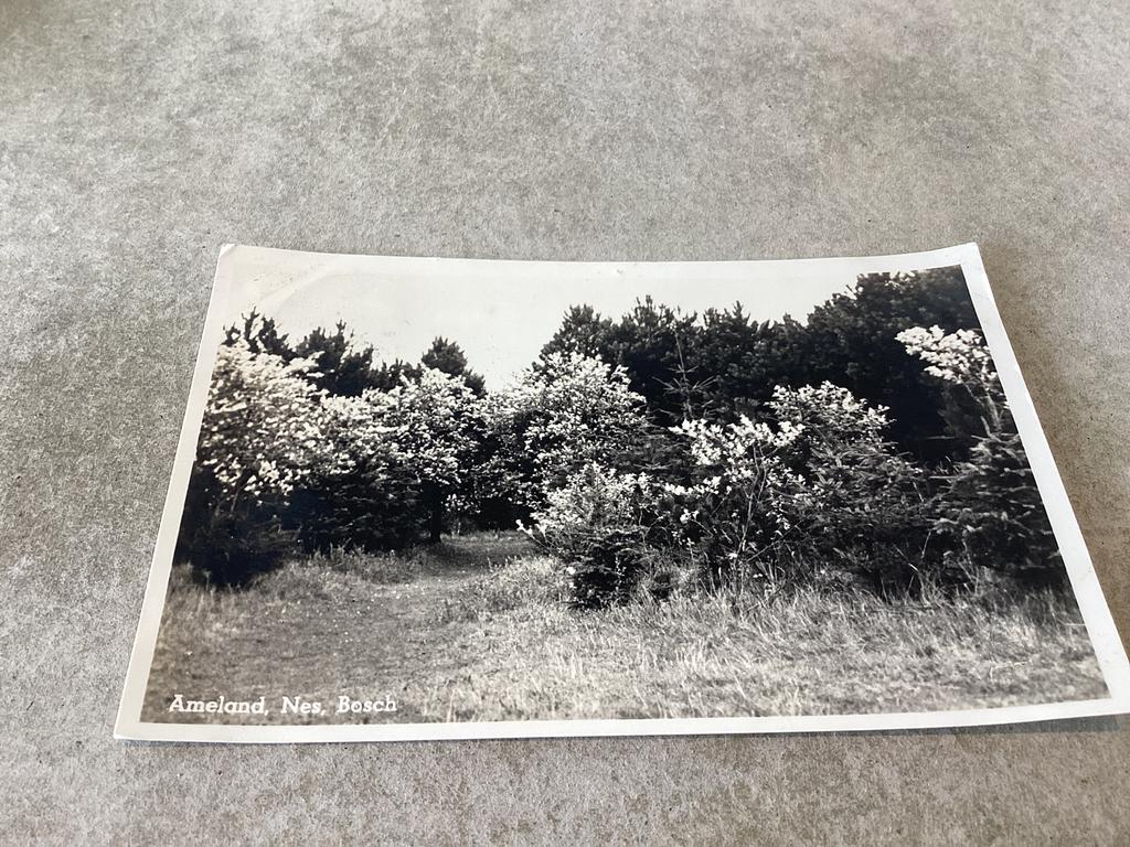 Ameland - Nes.     Bosch   1948, Ophalen of Verzenden, 1940 tot 1960, Waddeneilanden