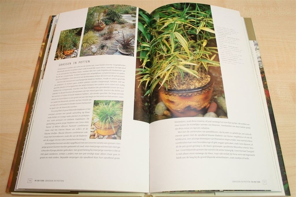 Grassen & Bamboes — Prachtboek voor Tuinontwerp & Inspiratie, Ophalen of Verzenden, Zo goed als nieuw, Interieur en Design