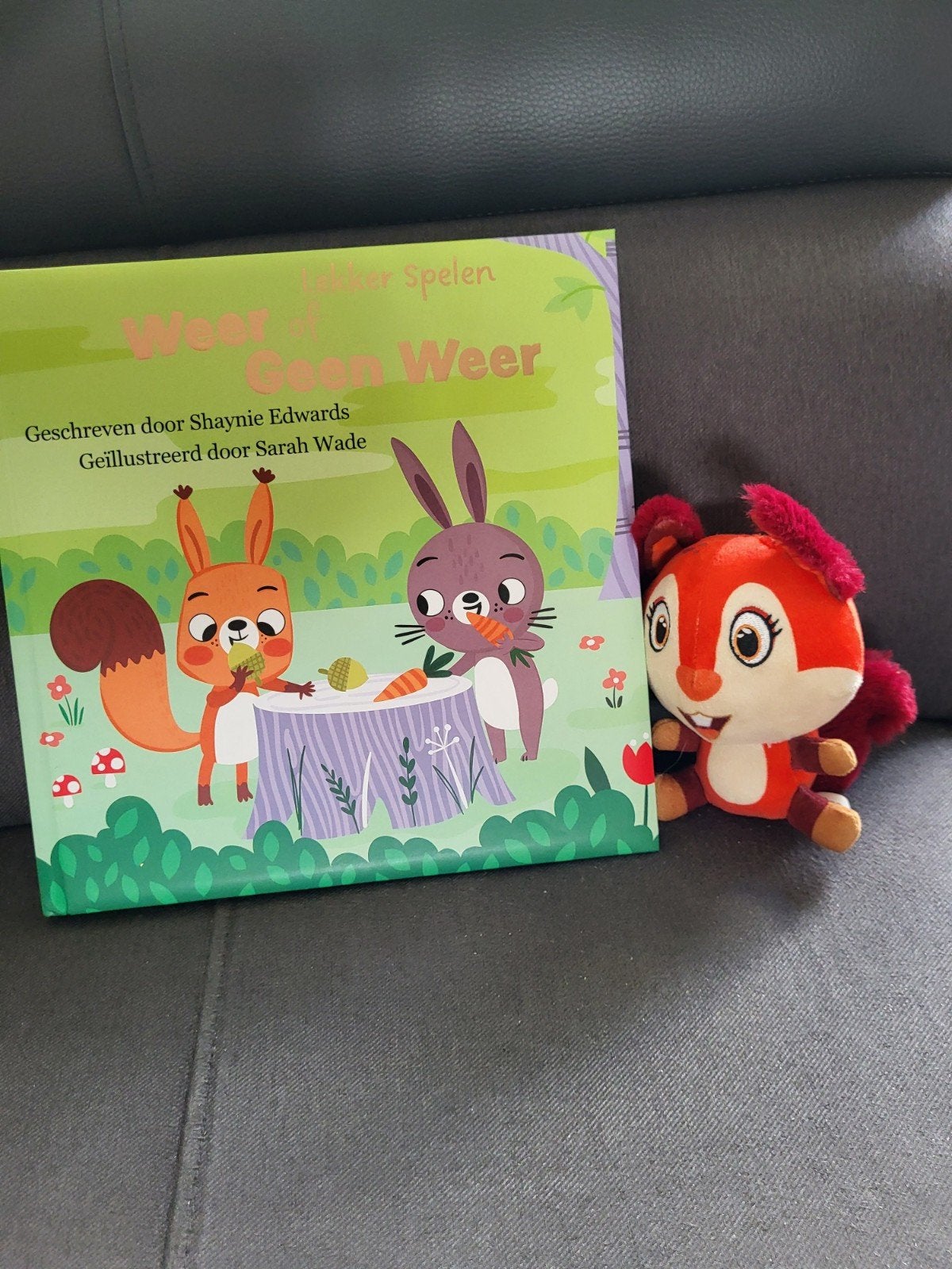 boeken met knuffels, Boeken, Ophalen of Verzenden