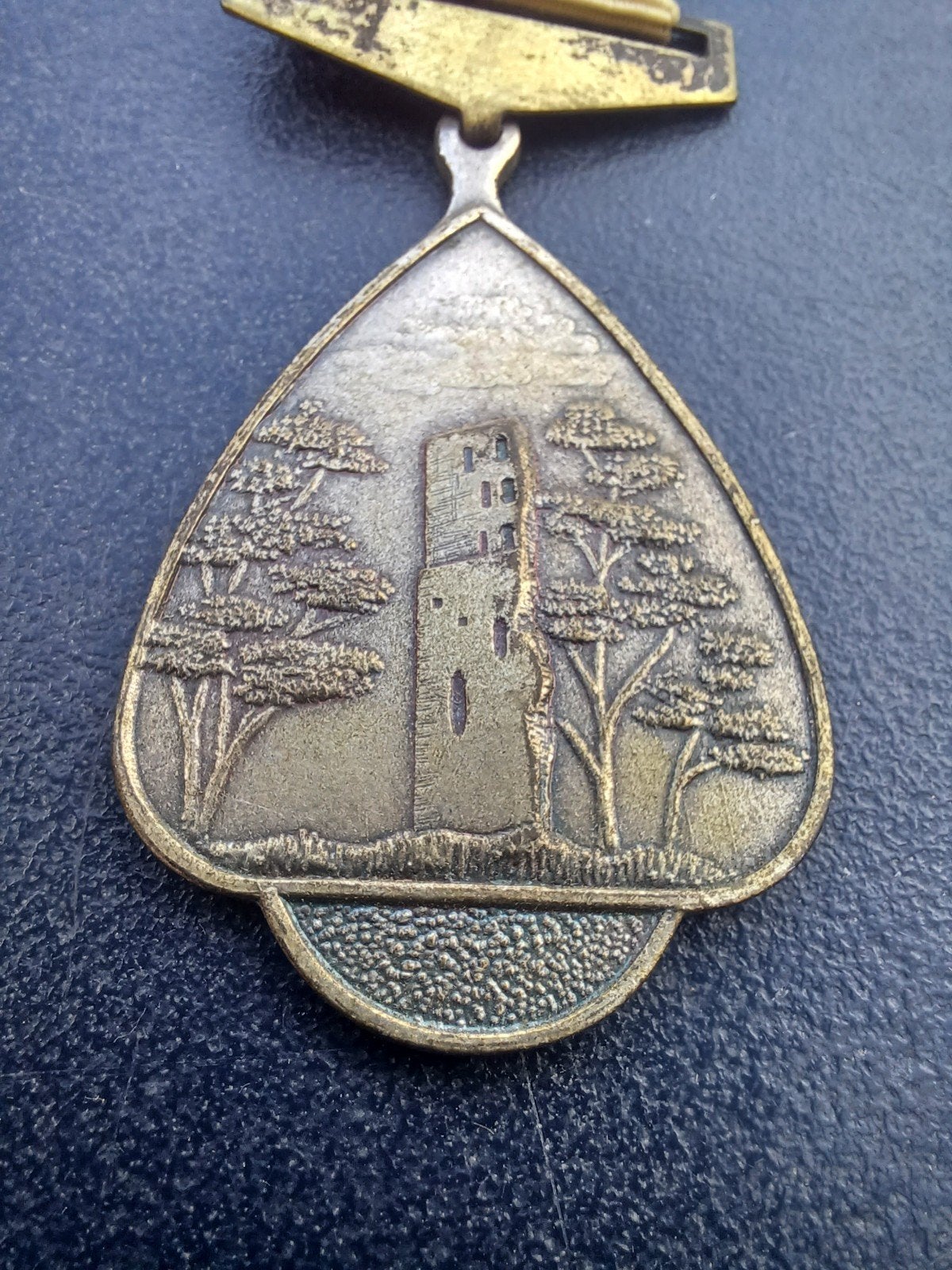 Medaille Oosterhout Willem van Duivenvoorde, Ophalen of Verzenden, Overige materialen, Nederland