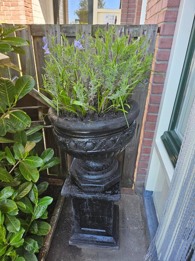 Zwarte Sokkel(polyamide) met bloempot, beton/steen, Ophalen