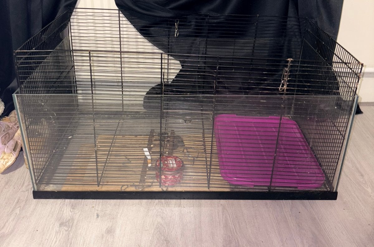 Ratten-/hamsterkooi te koop!, Dieren en Toebehoren, Ophalen, Kooi, Gebruikt, 60 tot 90 cm