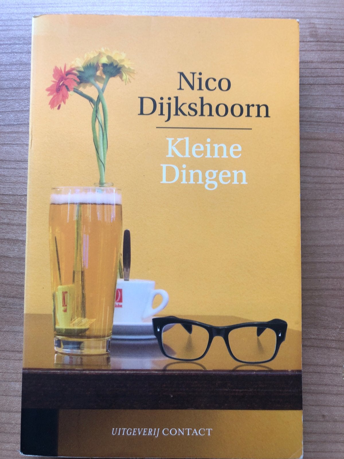 Nico Dijkshoorn - Kleine Dingen (Boek), Ophalen of Verzenden, Zo goed als nieuw, Nederland
