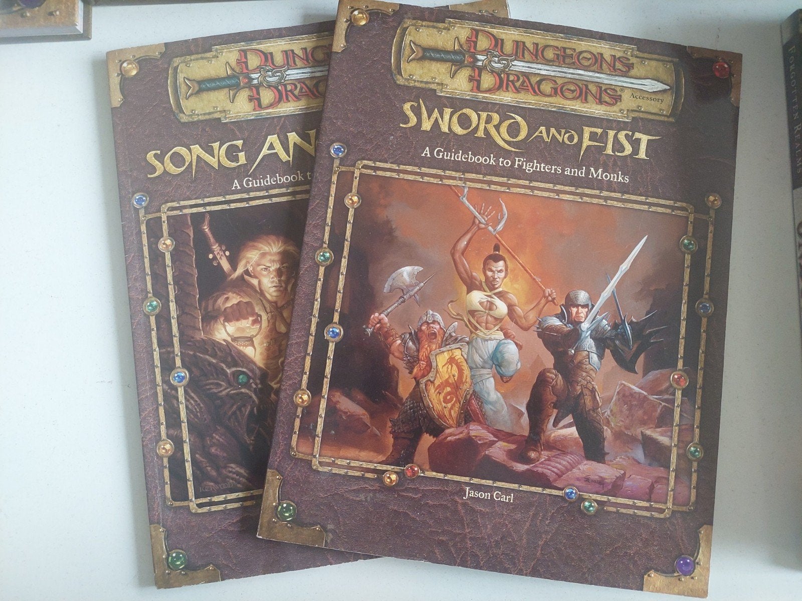 RPG DnD guidebooks 2x, Boeken, Fantasy, Zo goed als nieuw, Ophalen of Verzenden