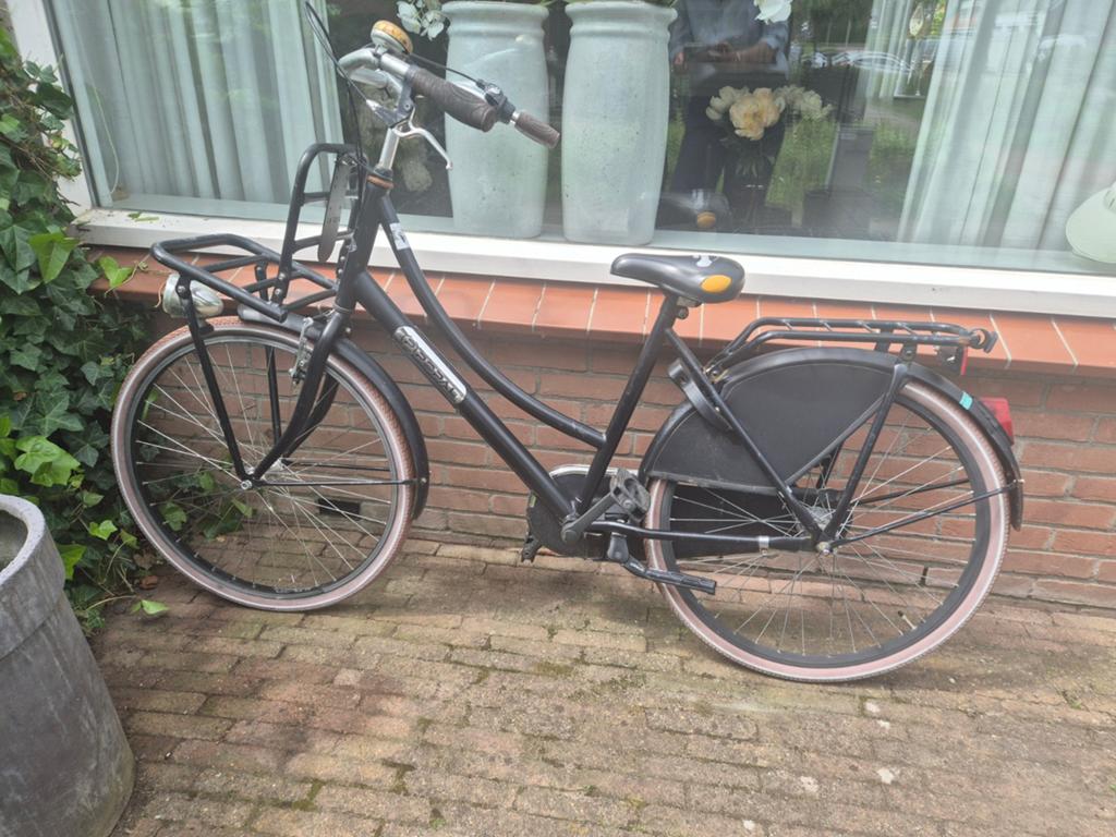 Fiets popal t.e.a.b., Ophalen of Verzenden, Gebruikt, Minder dan 16 inch