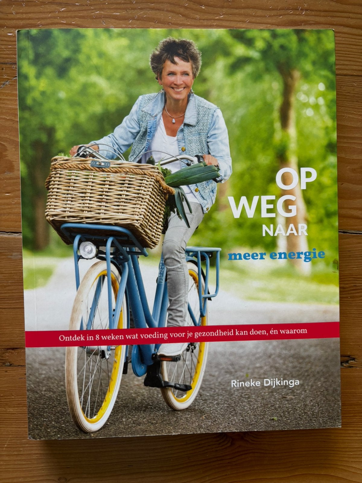 Rineke Dijkinga - Op weg naar meer energie, Ophalen of Verzenden, Zo goed als nieuw, Rineke Dijkinga