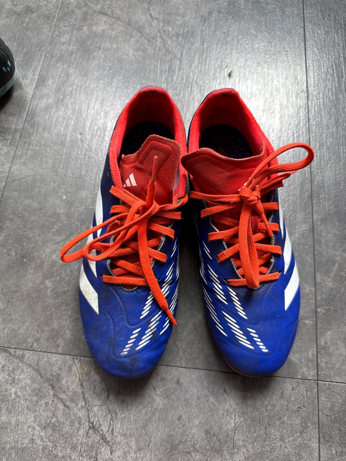 Adidas Predator voetbalschoenen - Maat 38.5, Sport en Fitness, Voetbal, Ophalen of Verzenden, Gebruikt, Schoenen