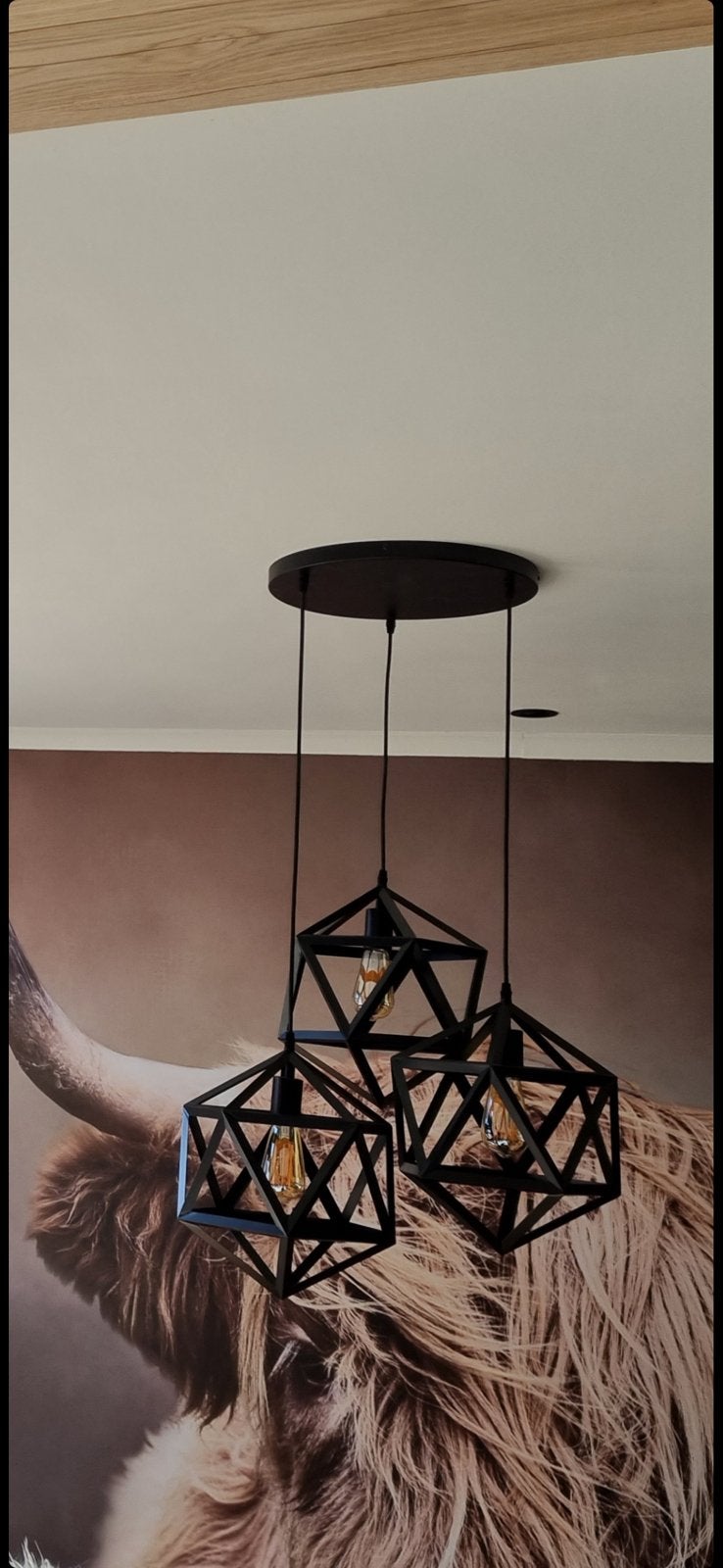 Reefs interior hanglamp, Ophalen, Zo goed als nieuw
