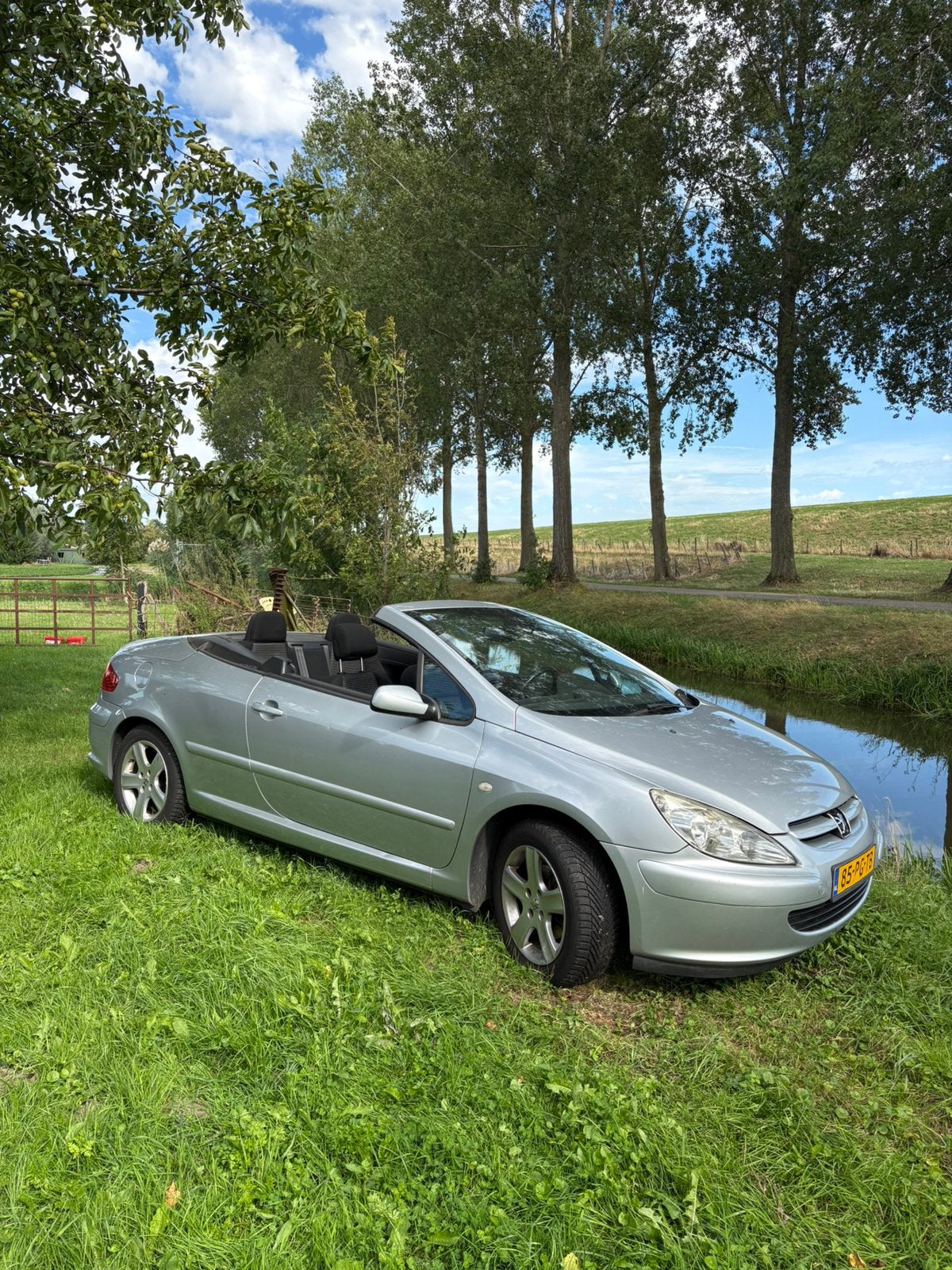 Peugeot 307 1.6 16V CC 2004 Cabrio, 730 kg, 4 cilinders, Cabriolet, 4 stoelen