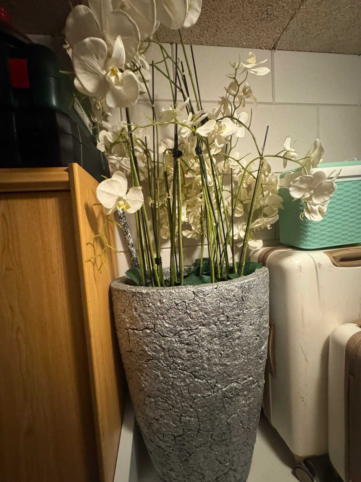 Bloembak, Ophalen, Zo goed als nieuw, Overige vormen, 60 cm of meer
