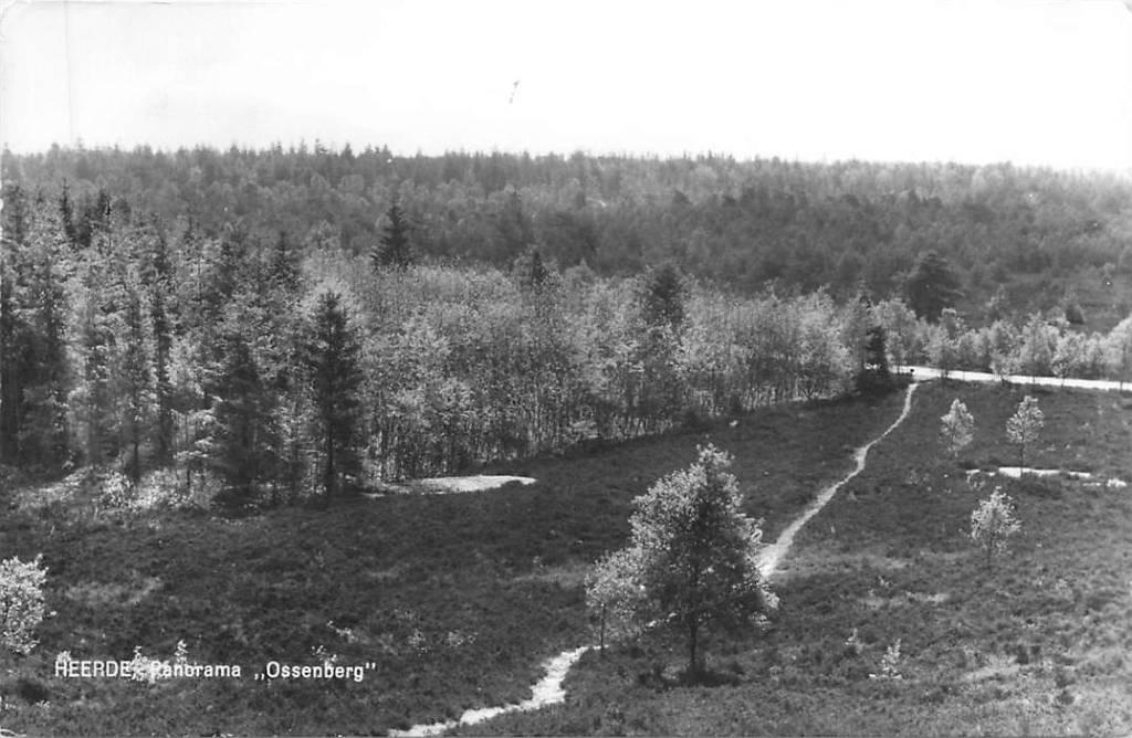 381-401-029 Heerde Panorama Ossenberg, Verzenden, Voor 1920, Gelderland