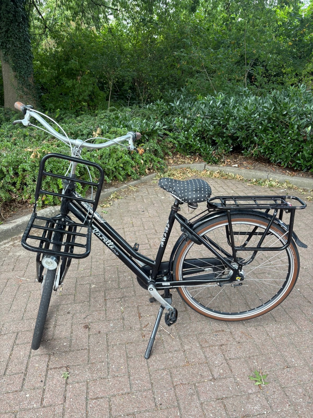 Mooie Gazelle Miss Grace met gebruikerssporen, 53 tot 56 cm, Ophalen, Gebruikt, Versnellingen