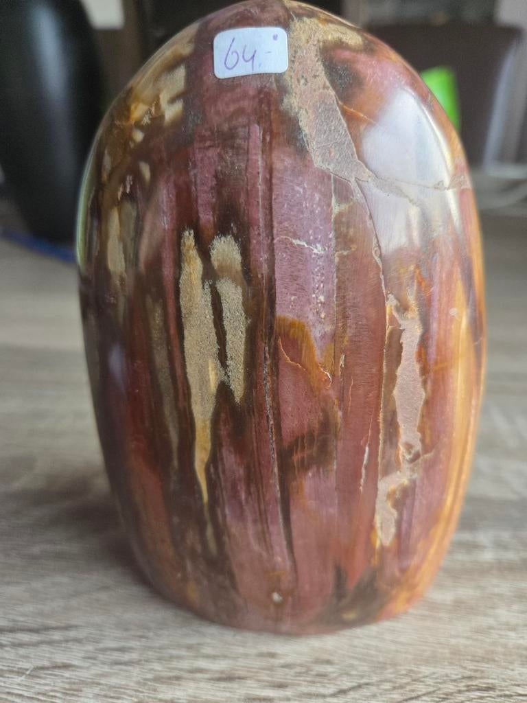Versteend hout, Ophalen of Verzenden, Zo goed als nieuw
