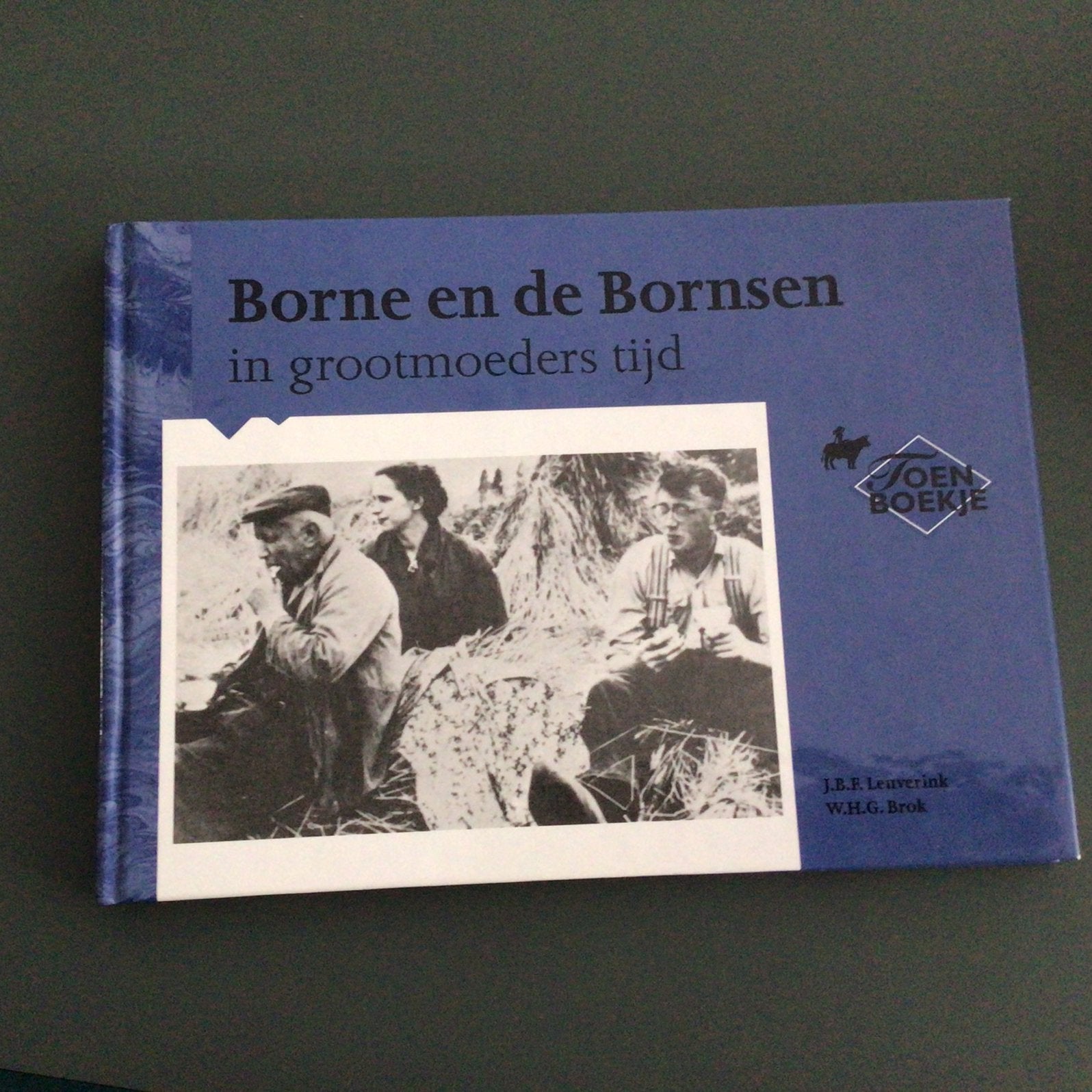 J.B.F. Leuverink - Borne en de Bornsen in grootmoeders tijd, Ophalen of Verzenden, Zo goed als nieuw, J.B.F. Leuverink; W.H.G. Brok