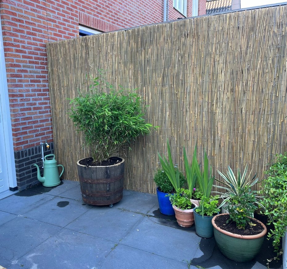 Schutting riet wilgen bamboe hout palen erfscheiding terras, Tuin en Terras, Schuttingen, Overige materialen, Gerard Krale, Nieuw