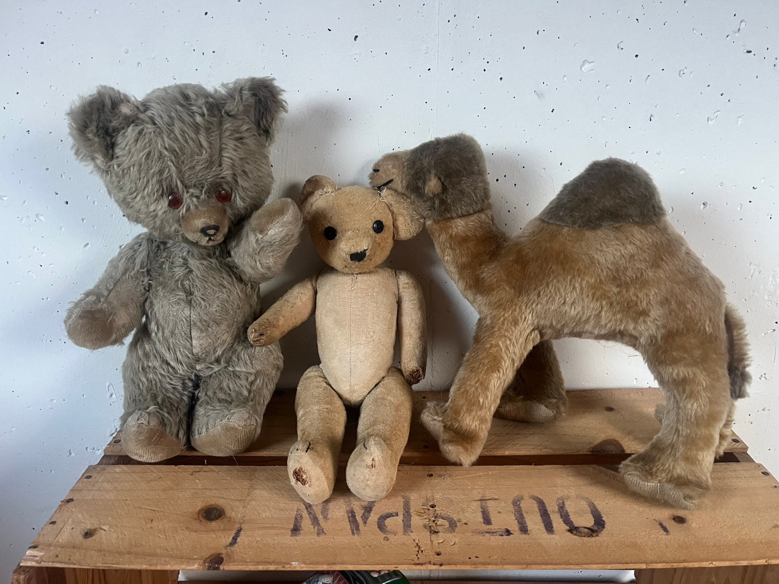 Twee beren en een steiff dromedaris, Ophalen of Verzenden, Zo goed als nieuw, Stoffen beer, Steiff