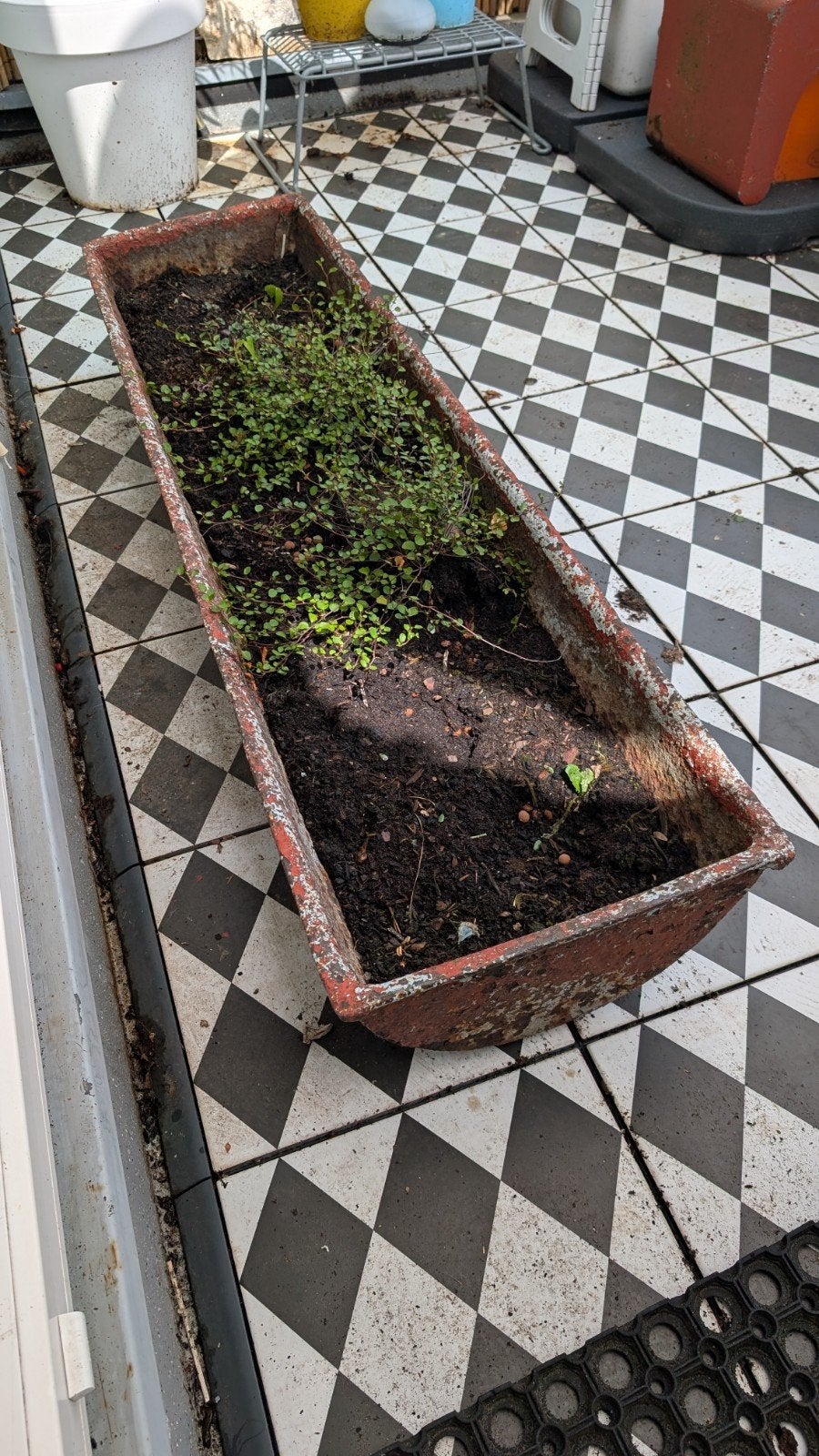 antieke gietijzeren bak, voer- of bloemtrog, Tuin en Terras, Ophalen, Gebruikt, Minder dan 30 cm, 100 cm of meer