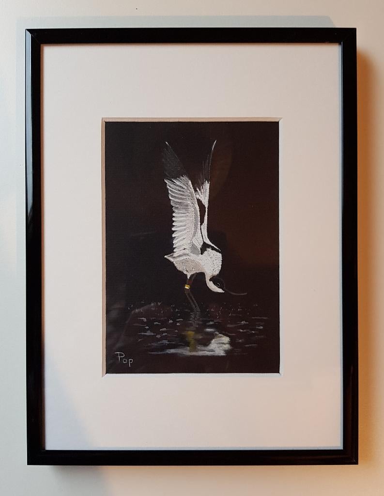 Aquarel Kluut, Kluut schilderij, Kluut Eigen Werk Kunst Art, Ophalen of Verzenden