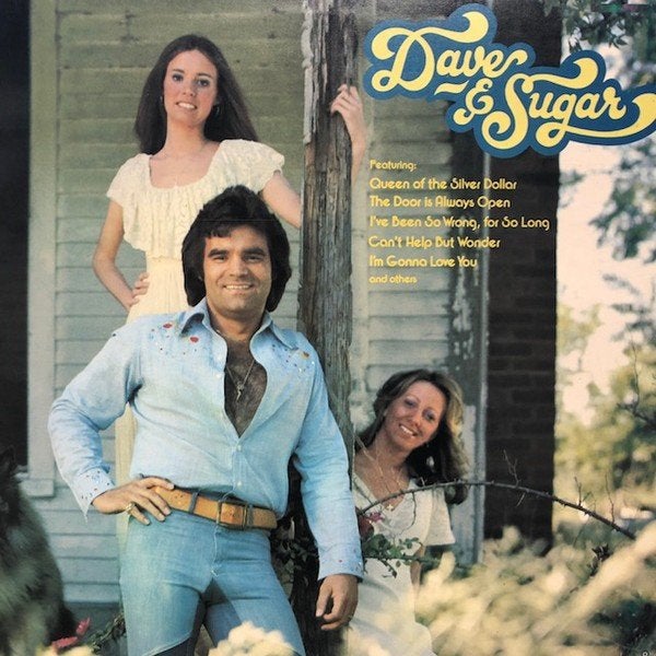Dave & Sugar ‎  Dave & Sugar  lp, LP, Gebruikt, Ophalen of Verzenden, Beschermende buitenhoes