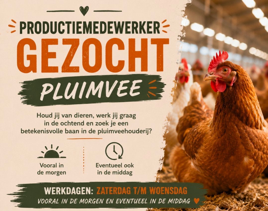 Productiemedewerker pluimvee gezocht, Vacatures, Vacatures | Landbouw, Natuur en Milieu, Overige niveaus, Starter, Overige vormen