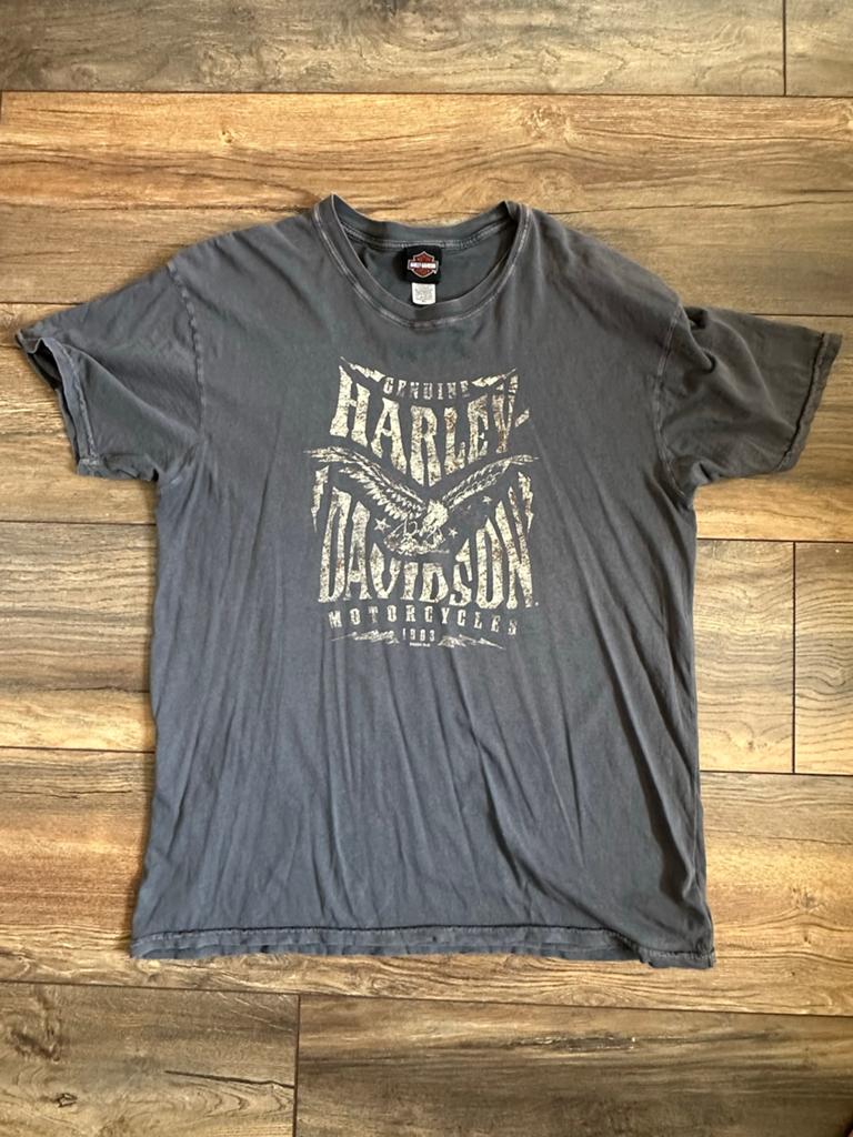 Harley Davidson T-shirt XL - Den Bosch - Klein gaatje, Ophalen of Verzenden, Gedragen, Maat 56/58 (XL), Grijs