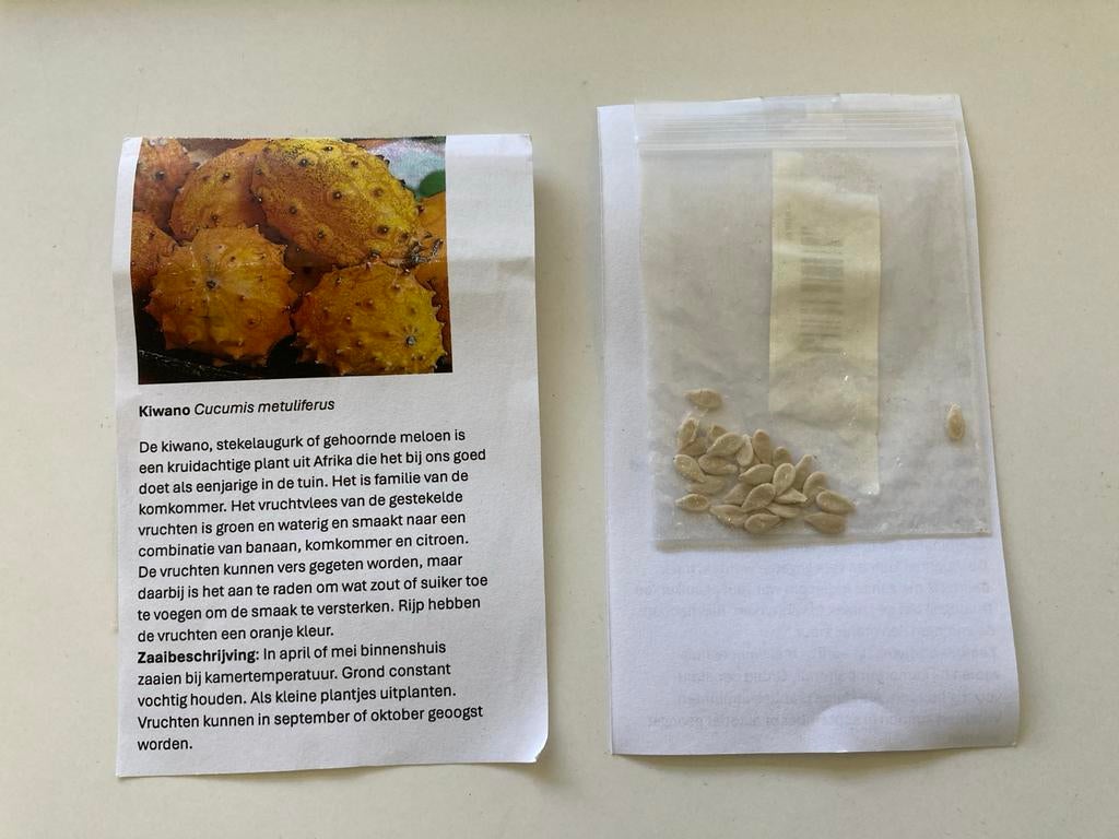 Kiwano zaden - Afrikaanse stekelaugurk - Cucumis metuliferus, Ophalen of Verzenden, Voorjaar, Volle zon, Zaad