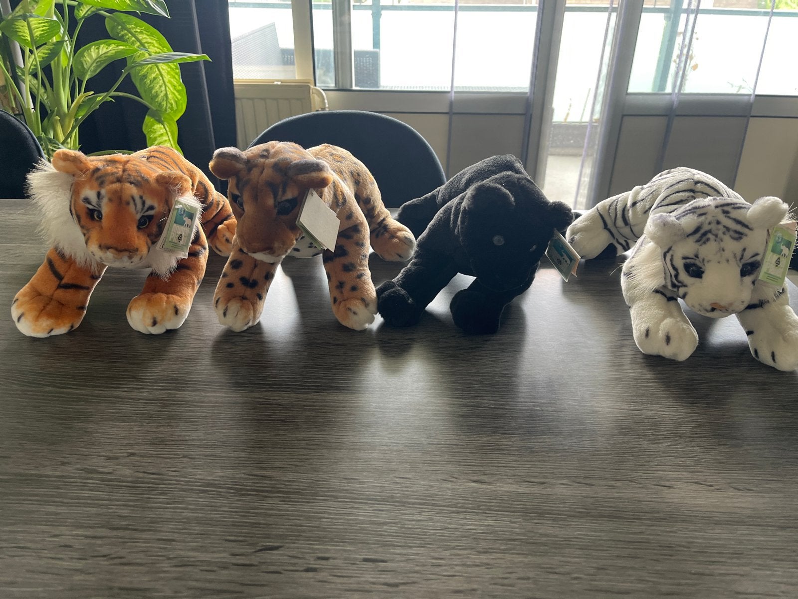 Knuffels Animal Planet - Tijgers en Panter, Overige merken, Nieuw, Ophalen of Verzenden, Met label