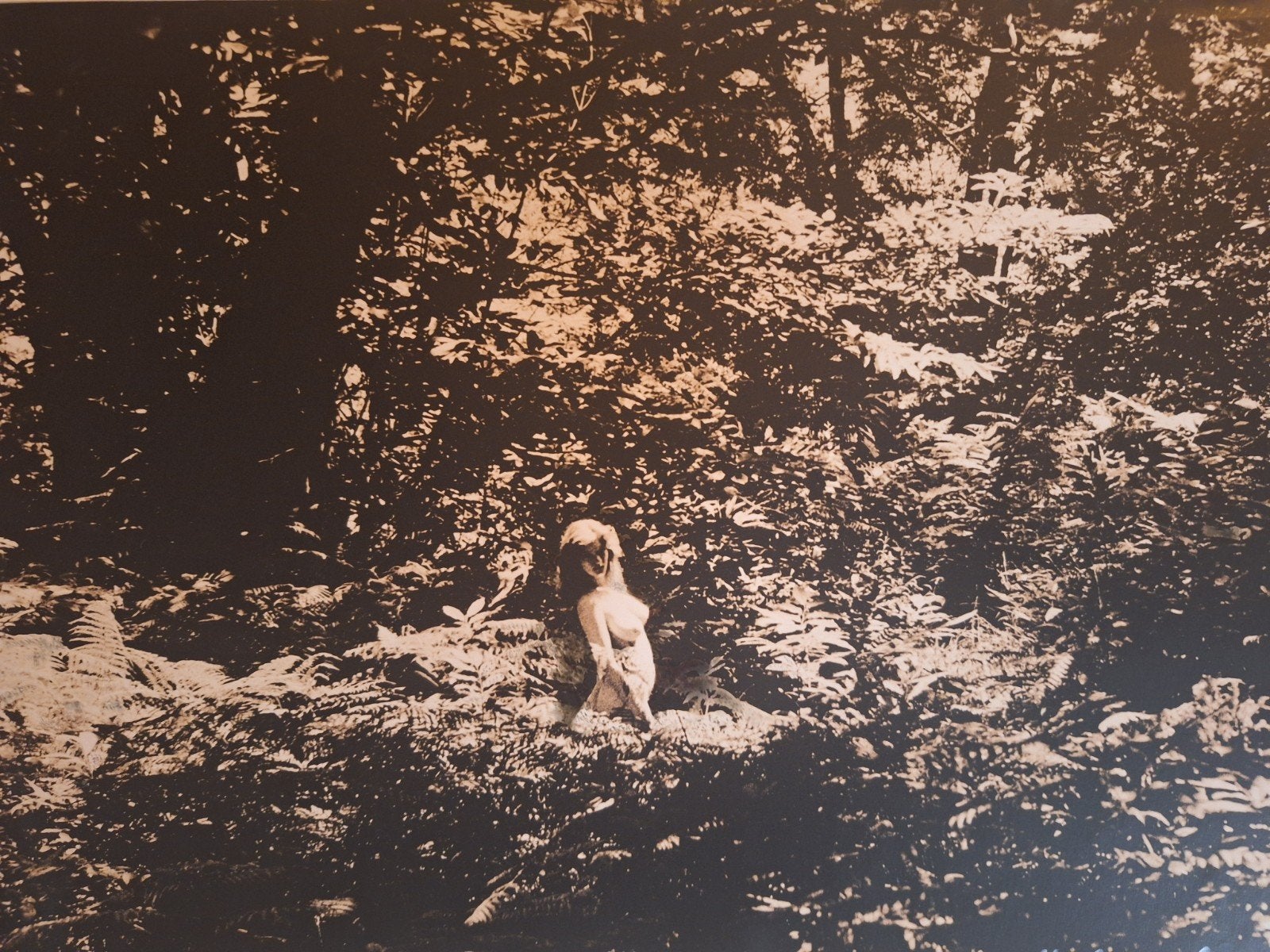 Naaktfotografie in bos van Theo Lode de Leede, Ophalen of Verzenden