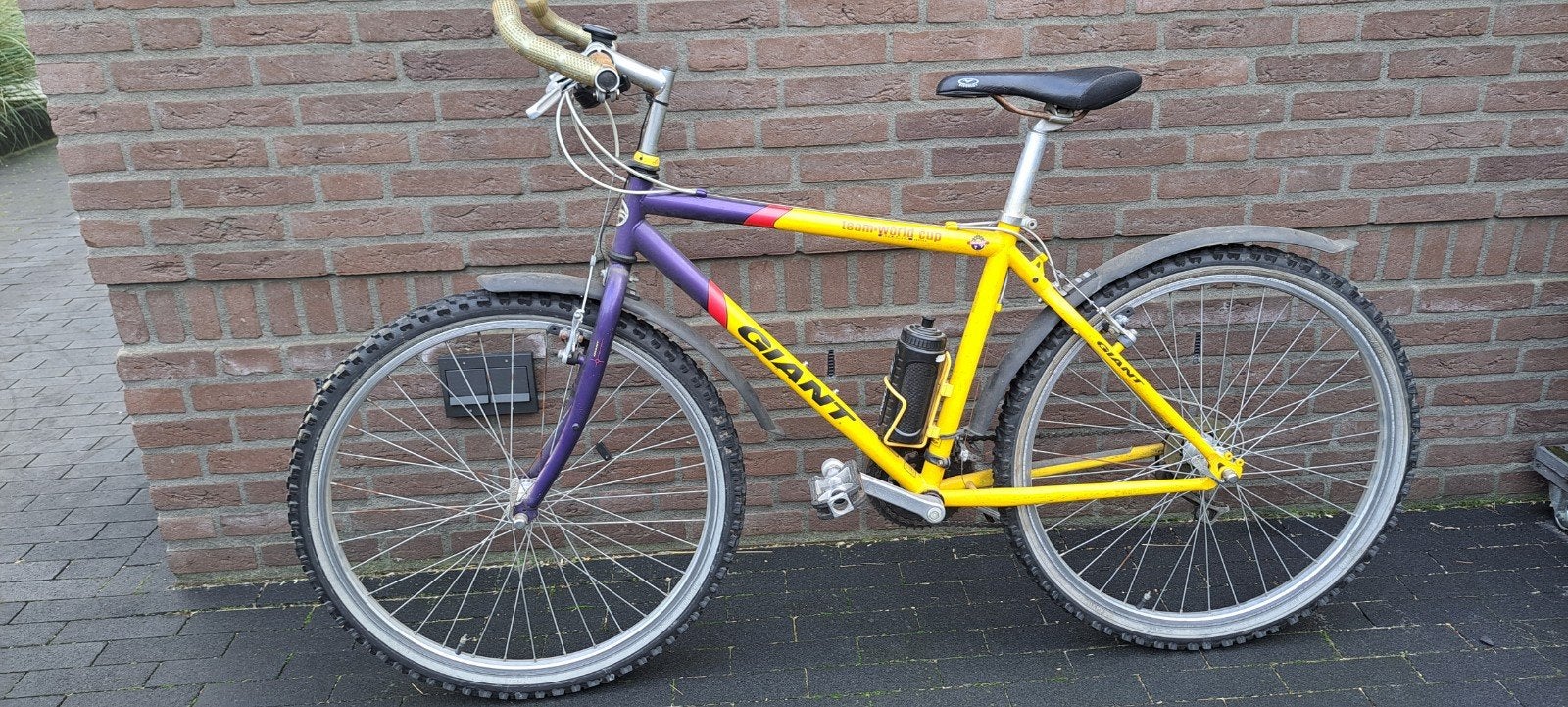 Mountainbike.  Giant. team world cup atlanta, Gebruikt, 26 inch, Meer dan 20 versnellingen, Giant