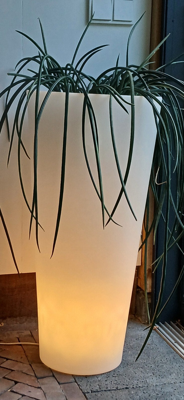 Elho bloempot pure soft met licht, 78 cm hoog +GRATIS PLANT, Ophalen, Kunststof, 100 tot 150 cm, E27 (groot)