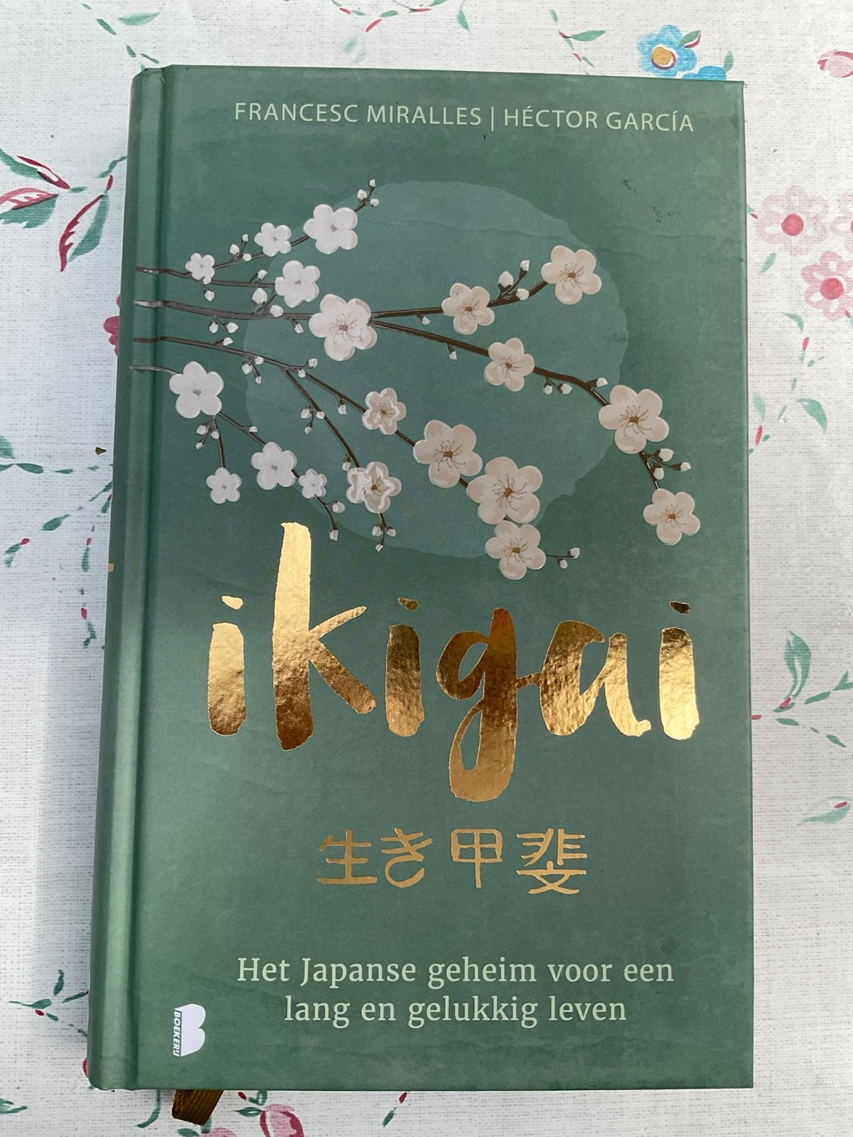 Héctor García - Ikigai, Boeken, Ophalen of Verzenden, Zo goed als nieuw, Héctor García; Francesc Miralles