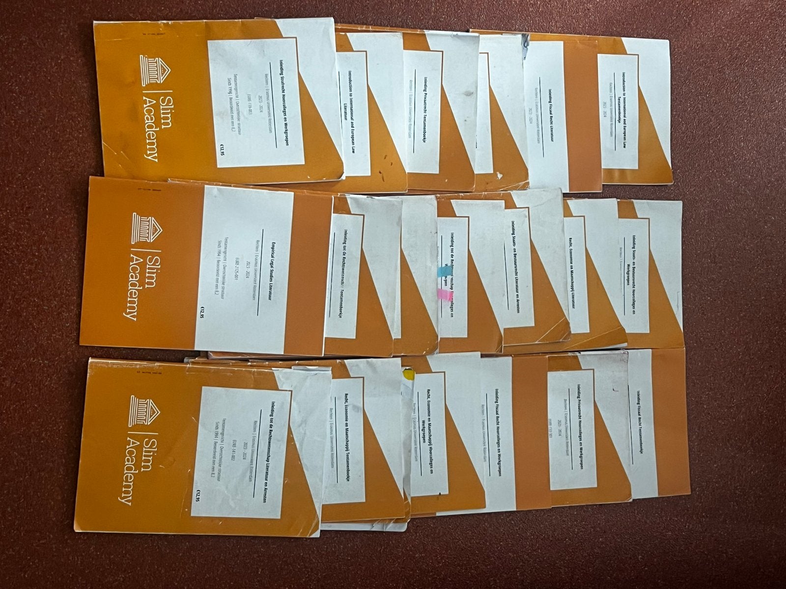Slim Academy Samenvattingen Erasmus Universiteit Rotterdam, Boeken, Ophalen of Verzenden, Gelezen