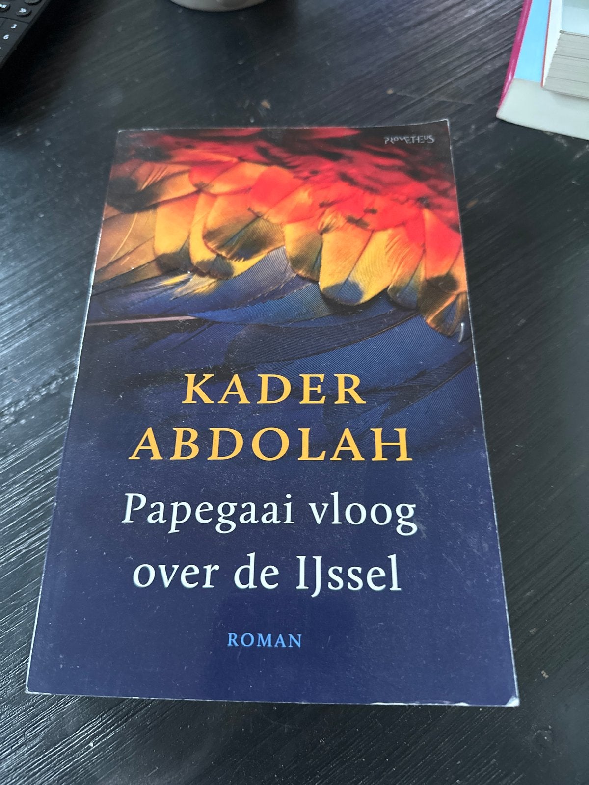 Kader Abdolah - Papegaai vloog over de IJssel (Roman), Boeken, Ophalen of Verzenden, Gelezen, Nederland