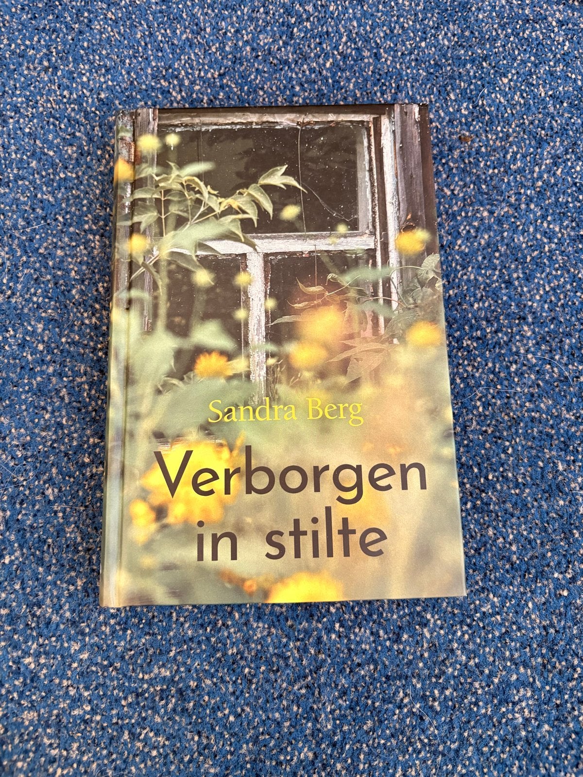 Romantische boeken: Verborg in stilte, Puzzelstukken, Afkoms, Boeken, Ophalen, Gelezen, Nederland