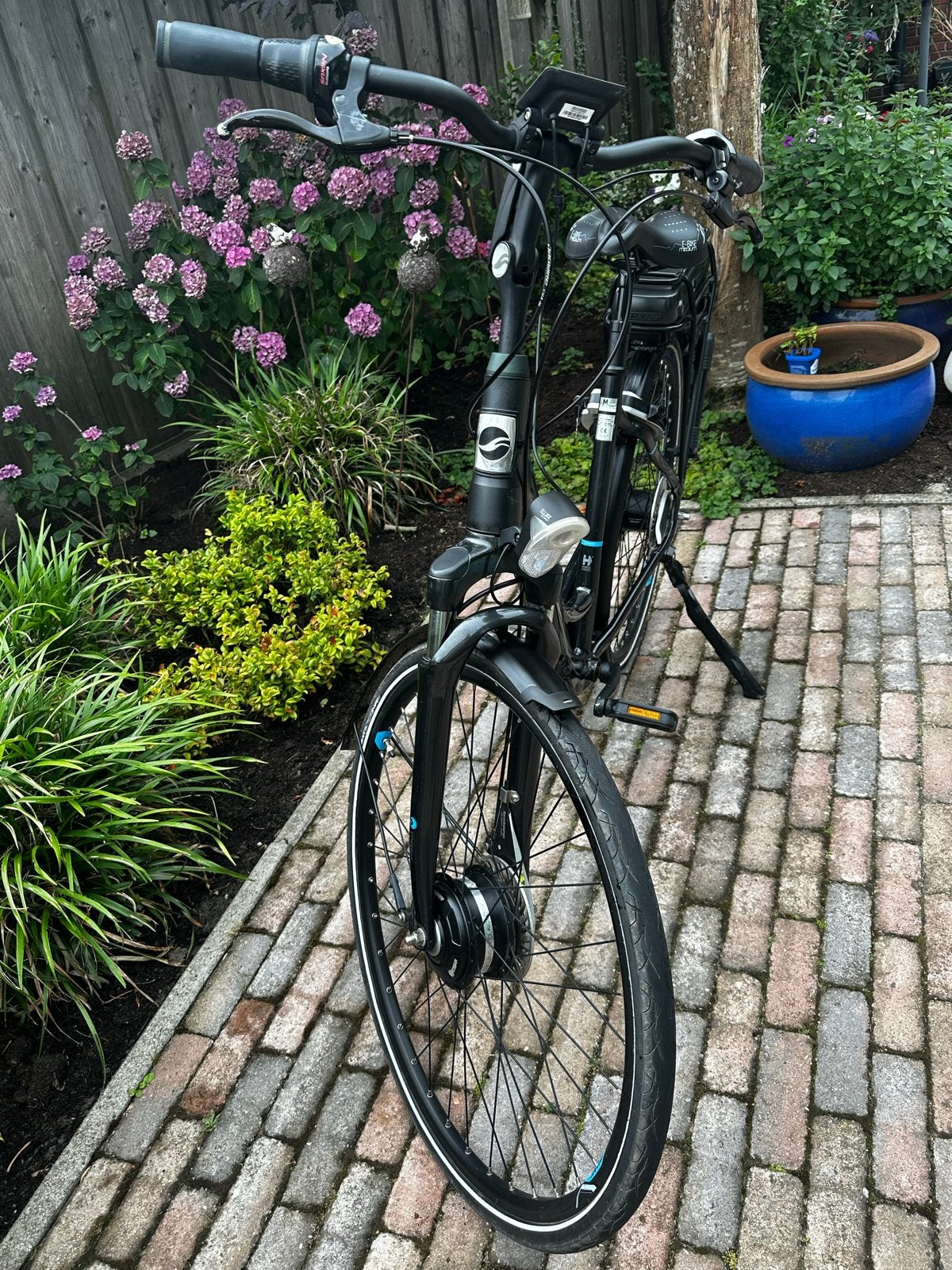 Giant Ease-e elektrische fiets, Ophalen, Gebruikt, Giant, 51 tot 55 cm