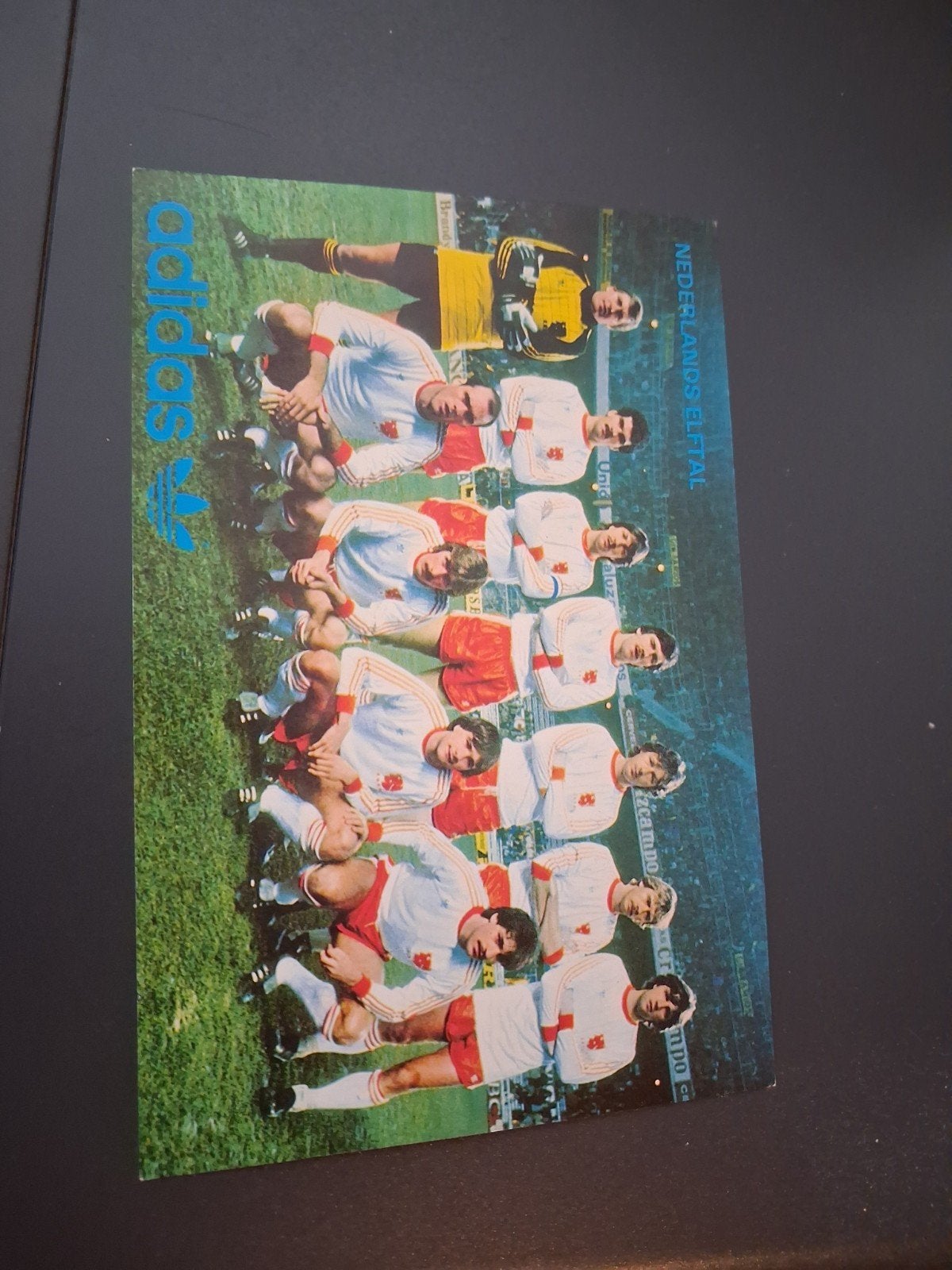 KNVB Voetbalkaart kaart Nederlands Elftal 1983, Ophalen of Verzenden, Gebruikt, Overige binnenlandse clubs, Poster, Plaatje of Sticker