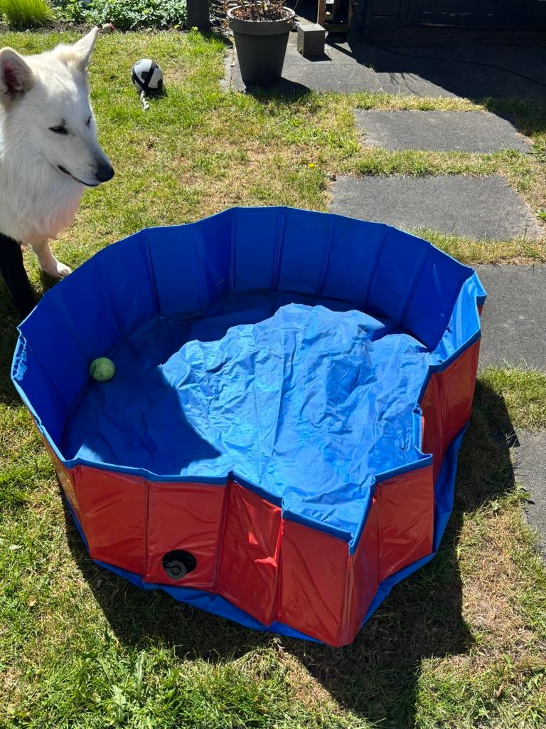 Hondenzwembad groot, Dieren en Toebehoren, Ophalen, Zo goed als nieuw, Waterspeelgoed