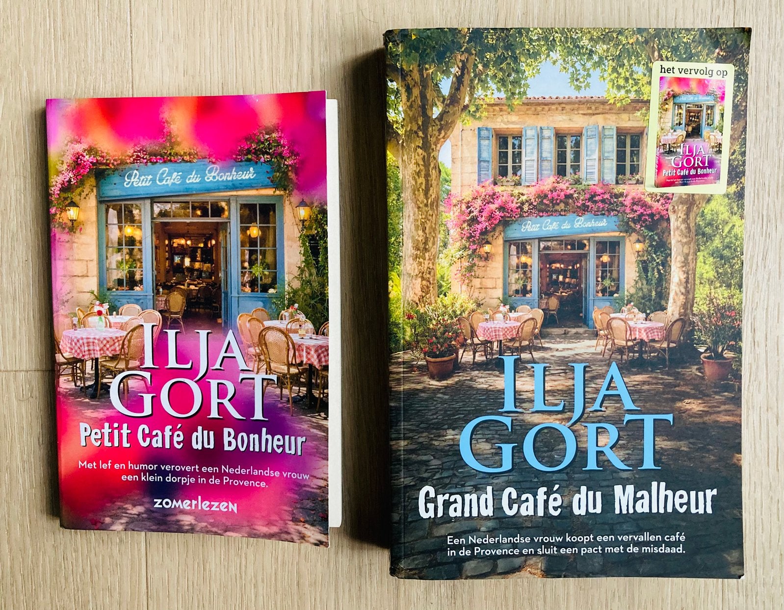 Petit Café du Bonheur & Grand Café du Malheur - Ilja Gort, Ophalen of Verzenden, Zo goed als nieuw, Nederland, Ilja Gort