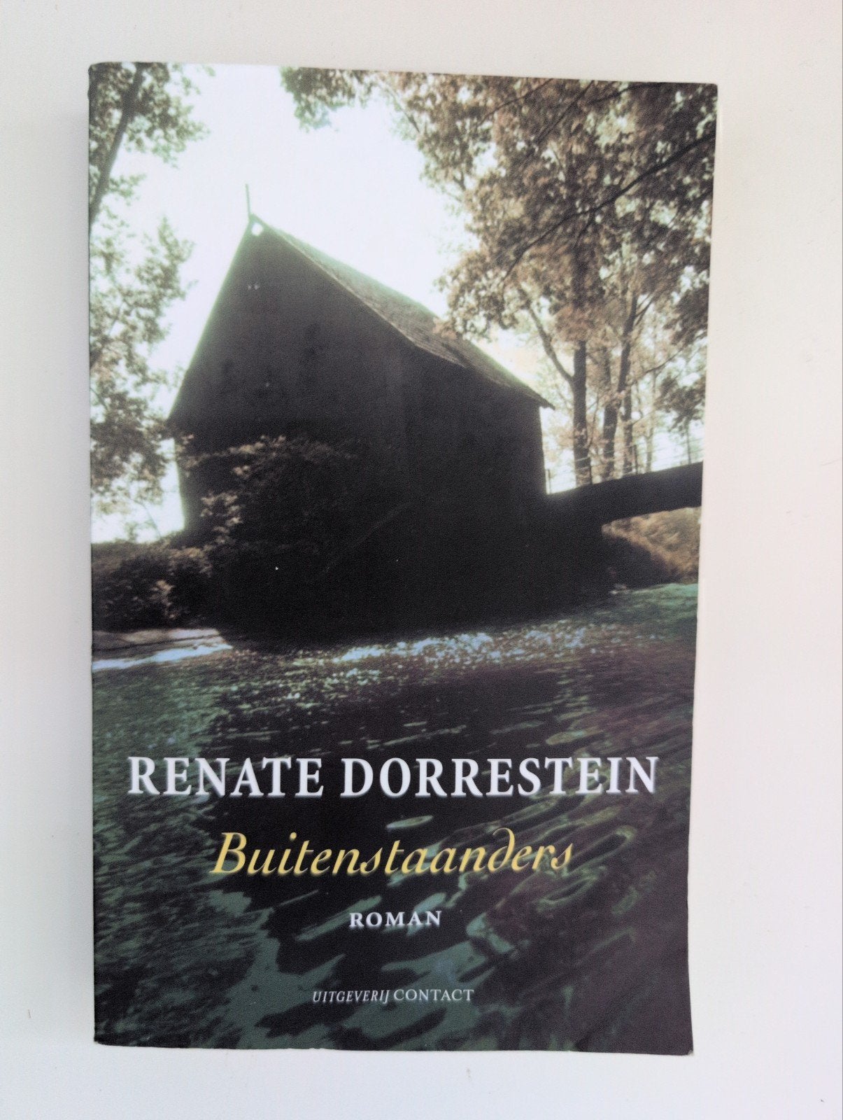 Renate Dorrestein - Buitenstaanders (Roman), Ophalen of Verzenden, Gelezen, Renate Dorrestein, Nederland