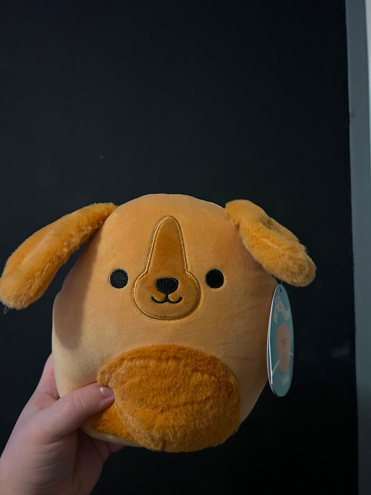 Squishmallows Knuffels - Diverse Karakters en Maten, Overige typen, Ophalen of Verzenden, Middelgroot (20 tot 80 cm), Meerkleurig