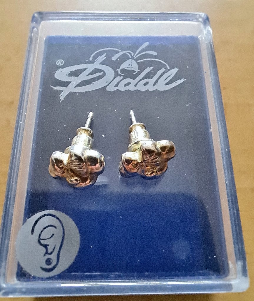 Zilveren oorbellen van Diddl Diddlina met doosje ZGAN, Ophalen of Verzenden, Zo goed als nieuw, Zilver, Zilver