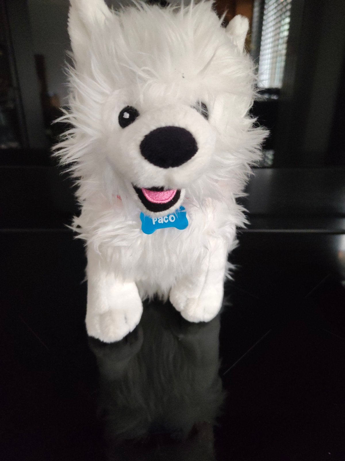 Witte pluche hond 'Paco'  Rutger en Thomas, Overige merken, Overige karakters, Zo goed als nieuw, Middelgroot (20 tot 80 cm)