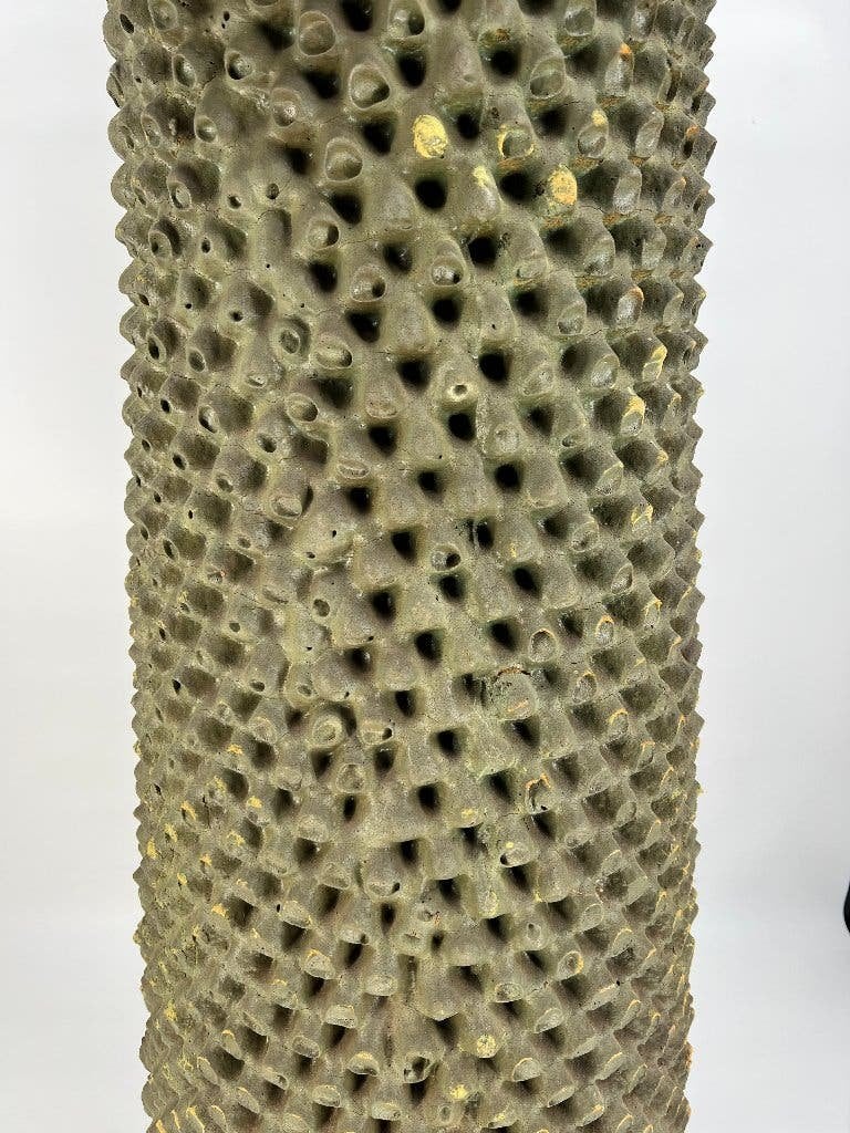 Gufram Cactus – Groen | Drocco & Mello, Ophalen, Overige materialen, Gebruikt, Staande kapstok