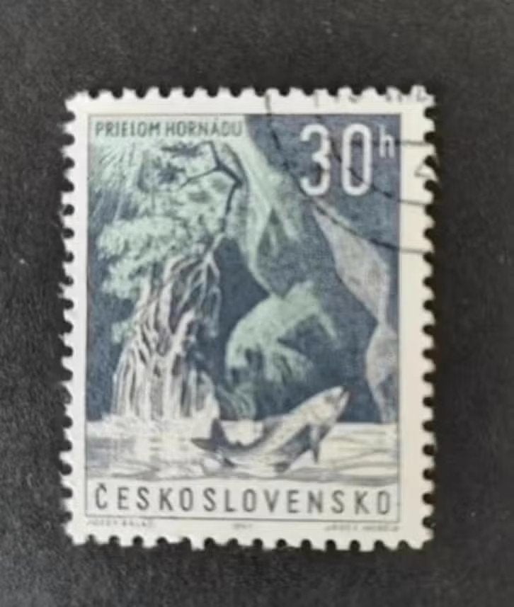 Tchecoslowakije 1209004 vis, Ophalen of Verzenden, Overige landen, Gestempeld